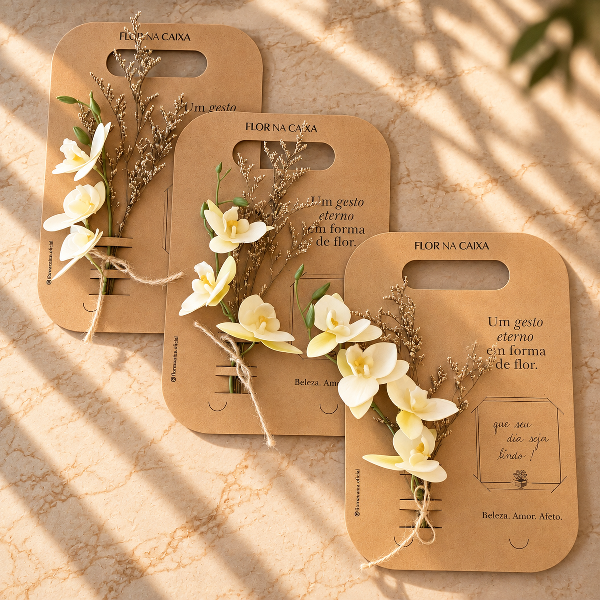 Pequenos Gestos | OrquÍdeas Brancas