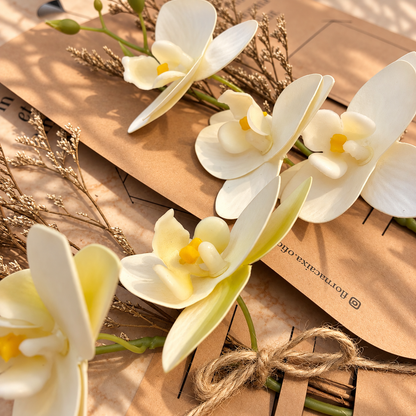 Pequenos Gestos | OrquÍdeas Brancas